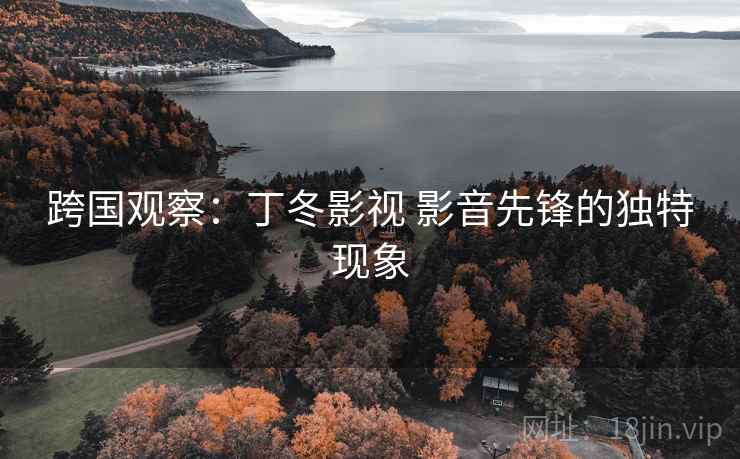 跨国观察：丁冬影视 影音先锋的独特现象