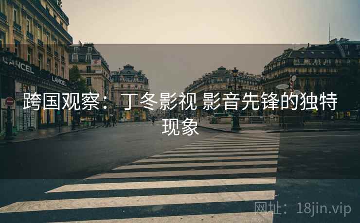 跨国观察：丁冬影视 影音先锋的独特现象