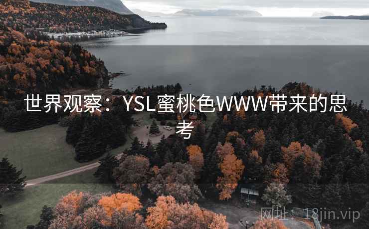 世界观察：YSL蜜桃色WWW带来的思考